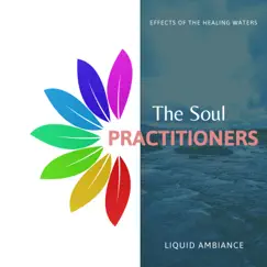 Effects of the Healing Waters - EP by Liquid Ambiance album reviews, ratings, credits