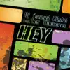 Hey (feat. Los Tiburones) [Radio Edit] - Single album lyrics, reviews, download