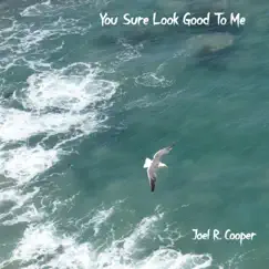 You Sure Look Good To Me - Single by Joel R. Cooper album reviews, ratings, credits