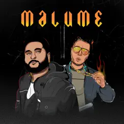 Malume - Single by Suchme & Canis album reviews, ratings, credits