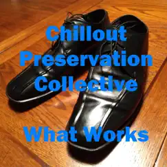 What Works - Single by Chillout Preservation Collective album reviews, ratings, credits