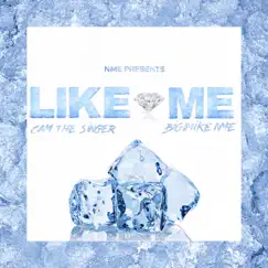 Like Me (feat. Cam the Singer) Song Lyrics