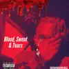 Blood, Sweat & Tears - Single album lyrics, reviews, download