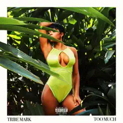 Too Much - Single by Tribe Mark album reviews, ratings, credits