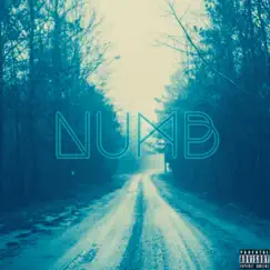 Numb (feat. Lil Vac) - Single by FU Stan album reviews, ratings, credits