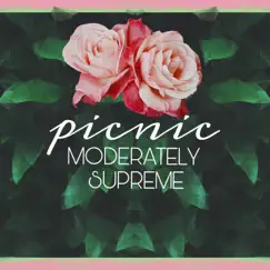 Picnic - Single by Moderately Supreme album reviews, ratings, credits