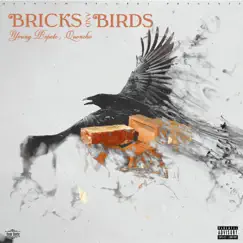 Bricks and Birds (feat. Quoncho) - Single by Young Bopete album reviews, ratings, credits