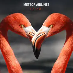 Tayri - Single by Meteor Airlines album reviews, ratings, credits