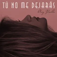 Tú No Me Dejarás - Single by Any Puello album reviews, ratings, credits