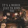 It's a Wonder Just to Know You (feat. Laurel Taylor) - Single album lyrics, reviews, download