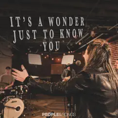 It's a Wonder Just to Know You (feat. Laurel Taylor) - Single by People & Songs album reviews, ratings, credits
