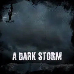 A Dark Storm - Single by No 1 Special album reviews, ratings, credits