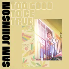 Too Good To Be True - Single by Sam Johnson album reviews, ratings, credits