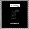 Sorry - Single album lyrics, reviews, download