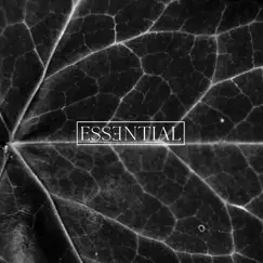 Essential 014 - Single by Esilum album reviews, ratings, credits