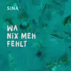 Wa nix meh fehlt (feat. Sina & Ritschi) - Single album lyrics, reviews, download