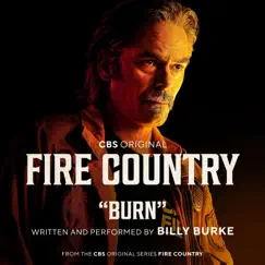 Burn (Music from the CBS Original Series) Song Lyrics