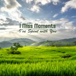 I Miss Moments I’ve Spent with You by Various Artists album reviews, ratings, credits