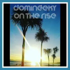 On the Rise by Domineeky album reviews, ratings, credits
