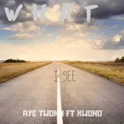 What I See (feat. Kwono) Song Lyrics