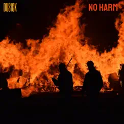 No Harm Song Lyrics