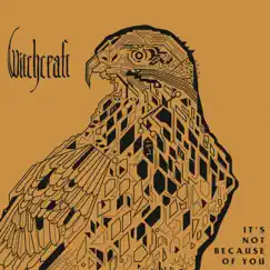 It's Not Because of You - Single by Witchcraft album reviews, ratings, credits