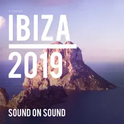 Ibiza 2019 by Various Artists album reviews, ratings, credits