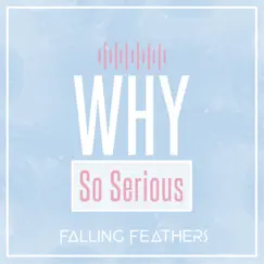 Why so Serious - Single by Falling Feathers album reviews, ratings, credits