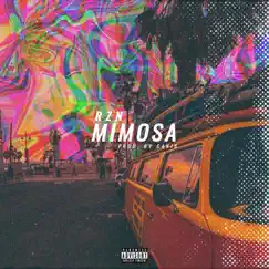Mimosa - Single by RZN album reviews, ratings, credits