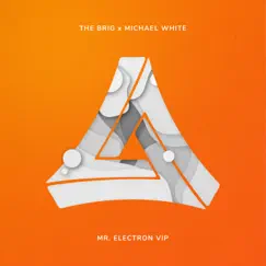 Mr. Electron VIP - Single by The Brig & Michael White album reviews, ratings, credits