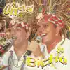 Na Onda Do Bicho album lyrics, reviews, download