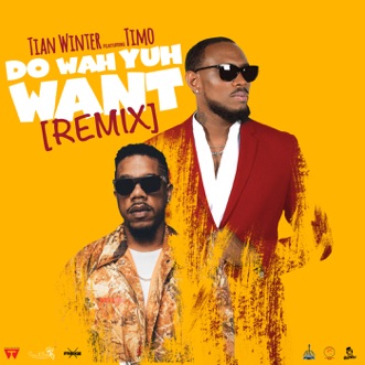Download Do Wah Yuh Want Feat Timo Remix By Tian Winter Song Lyrics
