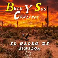 El Gallo de Sinaloa Song Lyrics