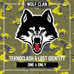 One & Only - Single by Teknoclash & Lost Identity album reviews, ratings, credits