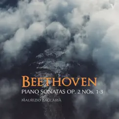 Piano Sonata No. 2 in A Major, Op. 2 No. 2: III. Scherzo. Allegro Song Lyrics