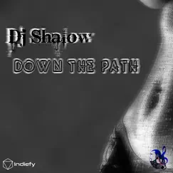 Down the Path - Single by DJ Shalow album reviews, ratings, credits