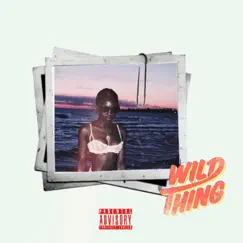 Wild Thing (feat. Obanz & ESN) - Single by Olu Folarin album reviews, ratings, credits