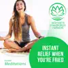 Instant Relief When You’re Fried Meditation - EP album lyrics, reviews, download