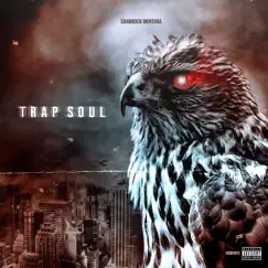 Trap Soul by $hamrock Montana album reviews, ratings, credits