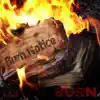 Burn Notice 2 album lyrics, reviews, download