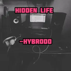 Antidote - Hybrodd Song Lyrics