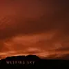 Weeping Sky (feat. Lena Arlid) - Single album lyrics, reviews, download