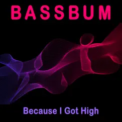 Because I Got High - Single by Bassbum album reviews, ratings, credits