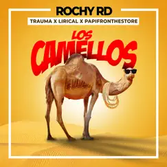Los Camellos (With Trauma Lirical & Papi From The Store) - Single by Rochy RD, Trauma Lirical & papi from the store album reviews, ratings, credits
