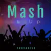 Mash It Up - Single album lyrics, reviews, download