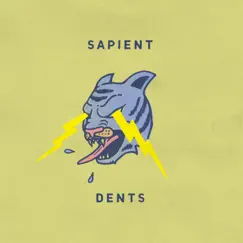 Dents - Single by Sapient album reviews, ratings, credits