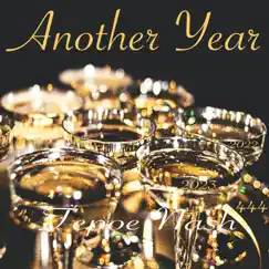 Another Year - Single by Tepoe Nash album reviews, ratings, credits