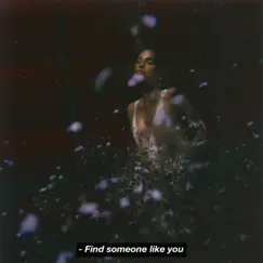 Find Someone Like You - Single by Snoh Aalegra album reviews, ratings, credits