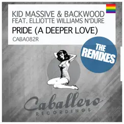 Pride (A Deeper Love) [Pedersen Remix] Song Lyrics