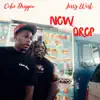 Now Drop - Single album lyrics, reviews, download